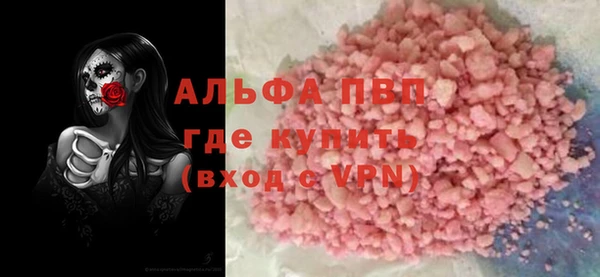 прущие грибы Алзамай