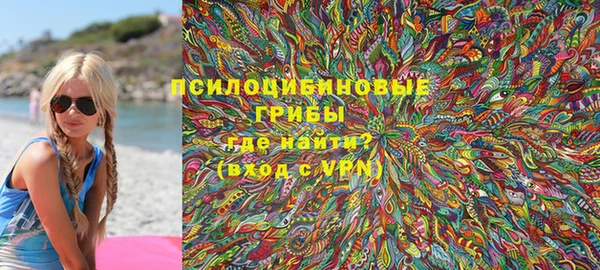 прущие грибы Алзамай