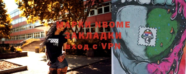 прущие грибы Алзамай