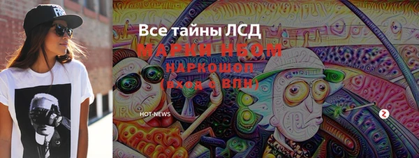 мет Алексин