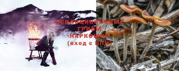 мет Алексин