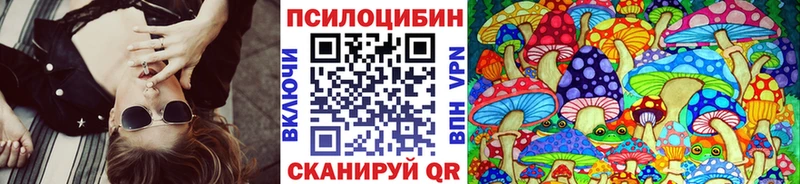 Псилоцибиновые грибы Cubensis  купить  цена  Омутнинск 